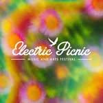 Electric Picnic 2025